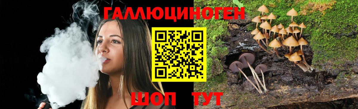 Галлюциногенные грибы Psilocybine cubensis Апатиты