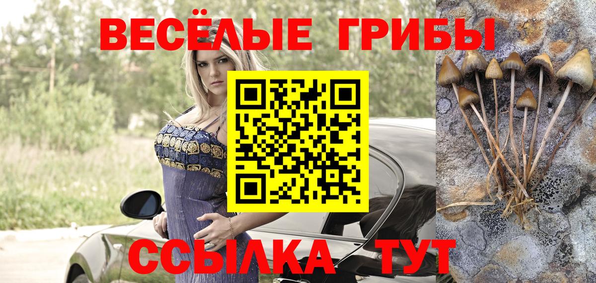 Псилоцибиновые грибы ЛСД  Галлюциногенные грибы Psilocybine cubensis  Апатиты  как найти закладки  Вход с VPN 