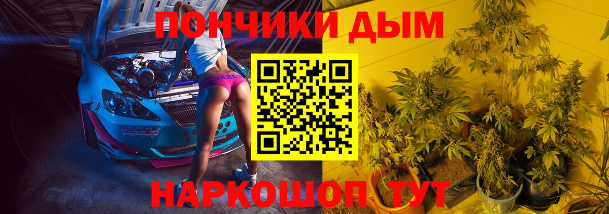 Бошки Шишки план Апатиты